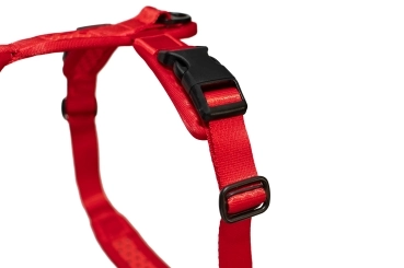 SOFTY Geschirr - Größe 7 - rot/rot